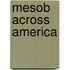 Mesob Across America