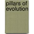 Pillars Of Evolution