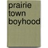 Prairie Town Boyhood