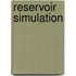 Reservoir Simulation