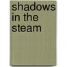 Shadows In The Steam door David Brandon