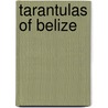 Tarantulas Of Belize door Steven B. Reichling