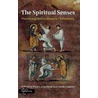 The Spiritual Senses door Paul L. Gavrilyuk