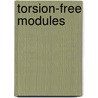 Torsion-Free Modules door Matlis