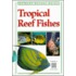 Tropical Reef Fishes