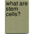 What Are Stem Cells?