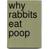 Why Rabbits Eat Poop