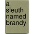 A Sleuth Named Brandy