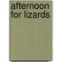 Afternoon For Lizards