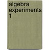 Algebra Experiments 1 door Ronald J. Carlson