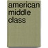 American Middle Class