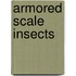 Armored Scale Insects