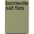 Bonneville Salt Flats