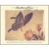 Butterflies Notecards