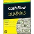 Cash Flow For Dummies