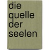 Die Quelle der Seelen door Richard Doetsch