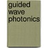 Guided Wave Photonics
