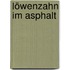 Löwenzahn im Asphalt