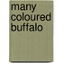 Many Coloured Buffalo