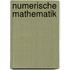 Numerische Mathematik