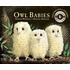 Owl Babies [With Dvd]