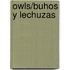 Owls/Buhos y Lechuzas