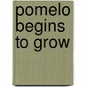 Pomelo Begins to Grow by Ramonoa Badescu