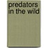 Predators in the Wild