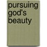Pursuing God's Beauty