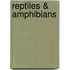 Reptiles & Amphibians