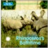 Rhinoceros's Bathtime