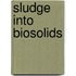 Sludge Into Biosolids