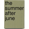The Summer After June door Ashley Warlick
