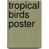 Tropical Birds Poster