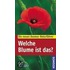 Welche Blume ist das?