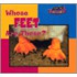 Whose Feet Are These?