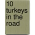 10 Turkeys in the Road