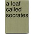 A Leaf Called Socrates