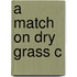 A Match On Dry Grass C