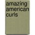 Amazing American Curls