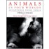 Animals In Four Worlds
