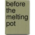 Before the Melting Pot