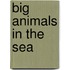 Big Animals in the Sea