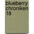 Blueberry Chroniken 18