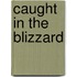 Caught In The Blizzard