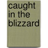 Caught In The Blizzard by Paul Kropp