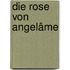 Die Rose von Angelâme