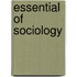 Essential Of Sociology