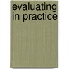 Evaluating In Practice by Professor Ian F. Shaw