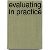 Evaluating In Practice door Professor Ian F. Shaw